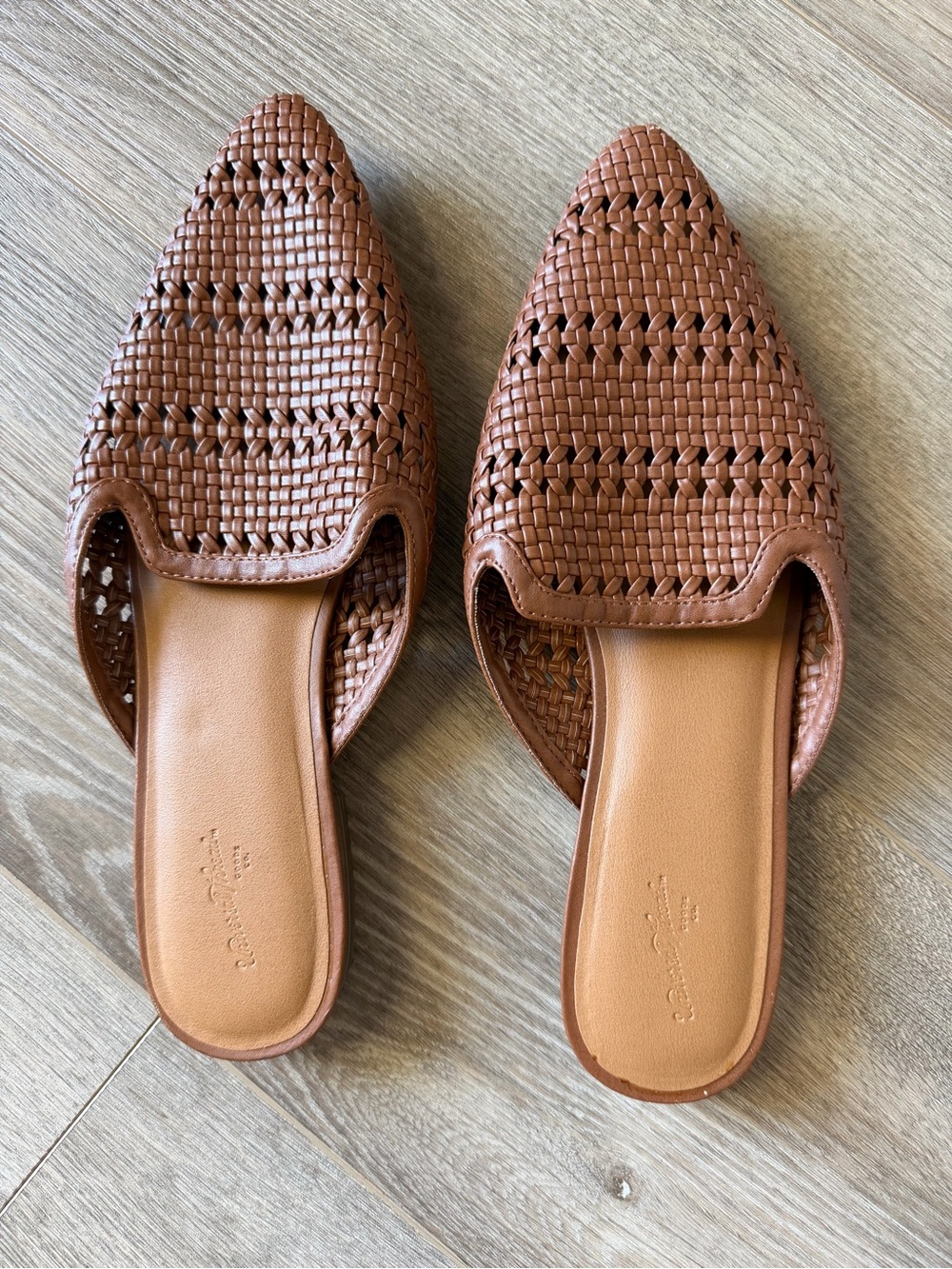 Universal Thread Woven Pointed-Toe Slide Mules in Brown